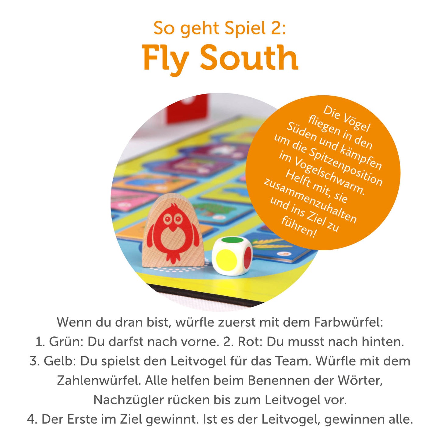 Lernspiel „Stepping Stones | Fly South“ 2-in-1 Sprachspiel für Kinder ab 6 Jahren | Englisch & Deutsch spielerisch lernen